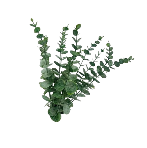 feature-item-2